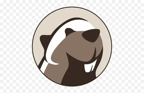 DBeaver